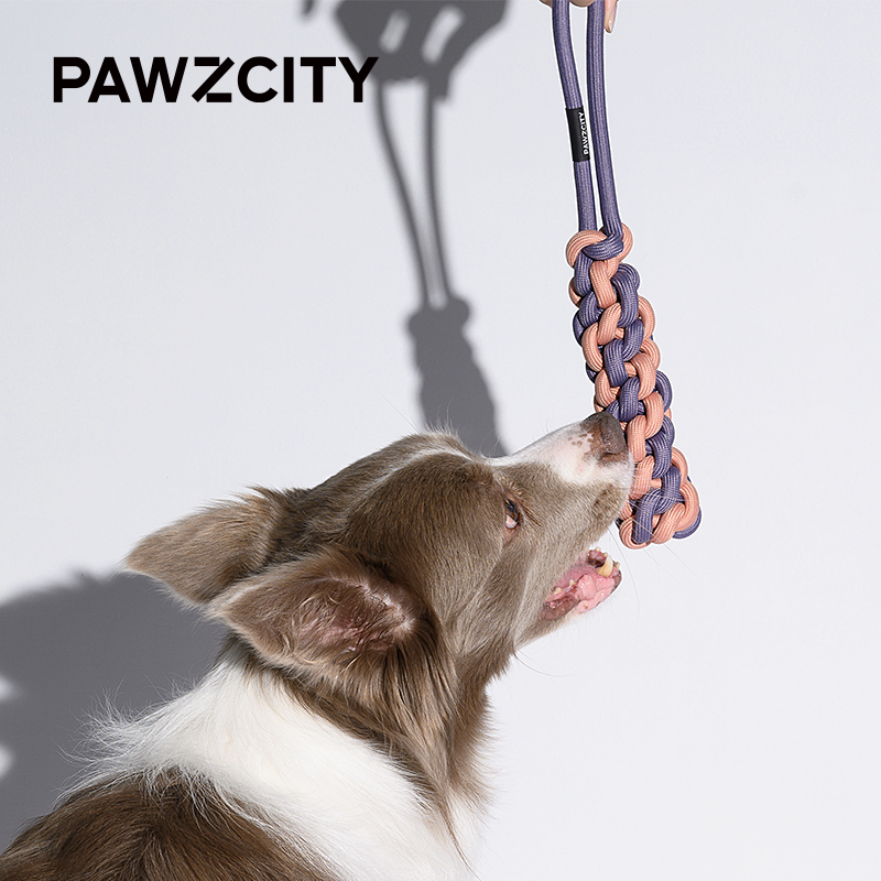 CUDDLE MY PET带环的PAWZCITY互动绳杆 - 芋头