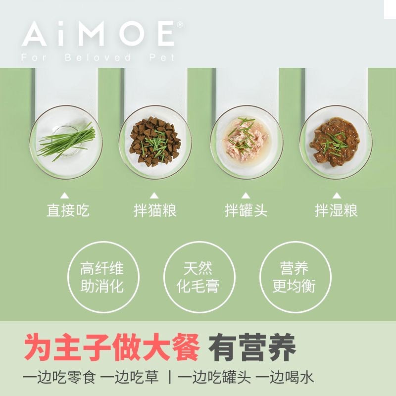 AIMOE可种草的碗