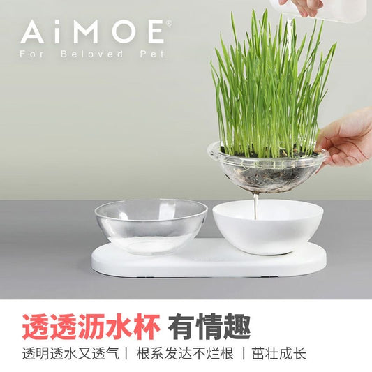 AIMOE可种草的碗