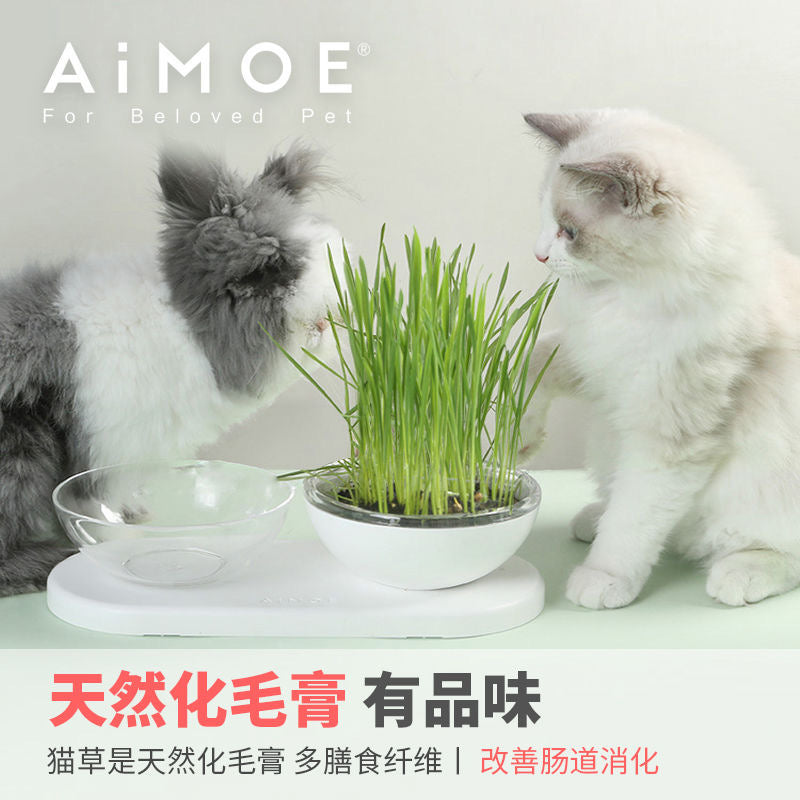 AIMOE可种草的碗